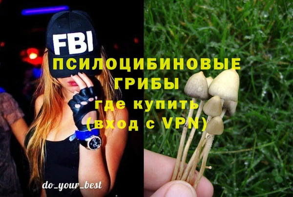 не бодяженный Армянск