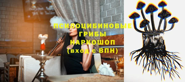 герыч Арсеньев