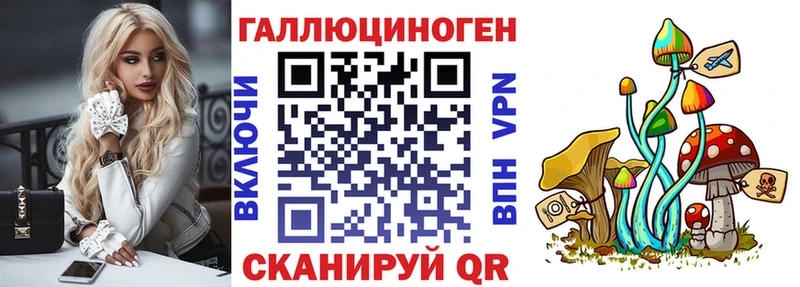 Псилоцибиновые грибы Cubensis  Купить где  Суджа 